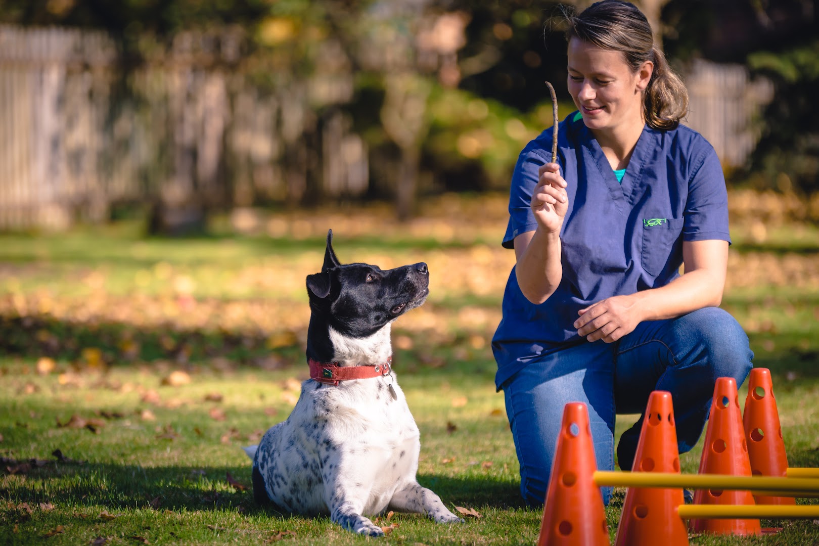 Hundephysiotherapie Anja Pigol · Fotos 5